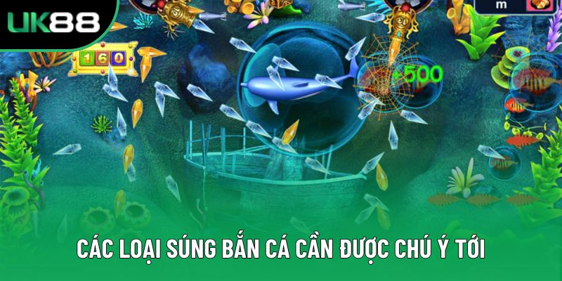 Các loại súng bắn cá cần được chú ý tới
