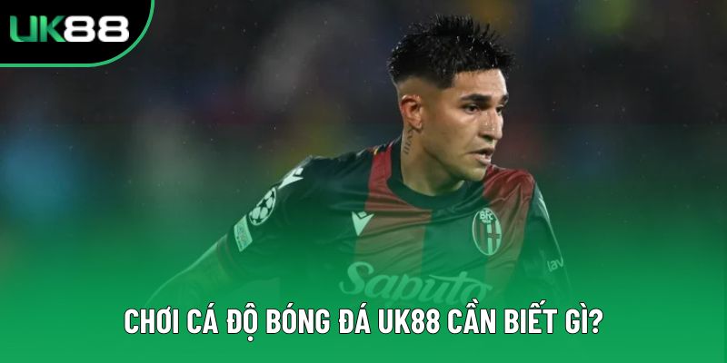 Chơi cá độ bóng đá UK88 cần biết gì?