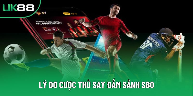Lý do cược thủ say đắm sảnh SBO